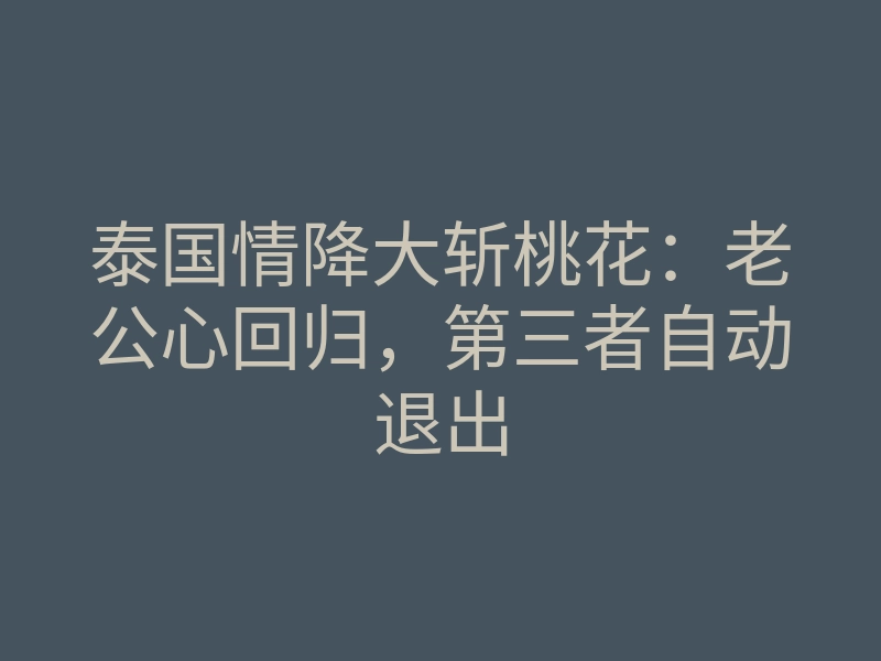 泰国情降大斩桃花:老公心回归,第三者自动退出